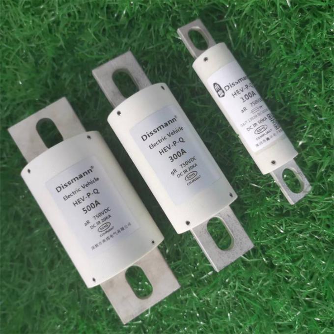 750VOLT 표준 블레이드 자동차는 중국에서 만들어진 700Amp 높은 정격 전류 퓨즈를 녹입니다