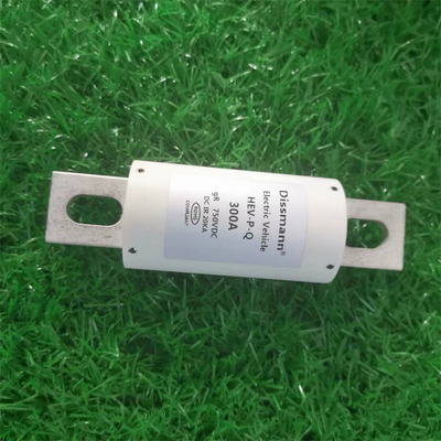750VDC 에너지 저장 디스만 300Amp DC 퓨즈 섬유 튜브 소재