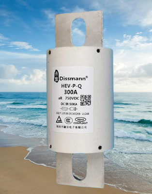 EV 충전기 힘을 위한 DC750V 반도체 고속 신관 사용