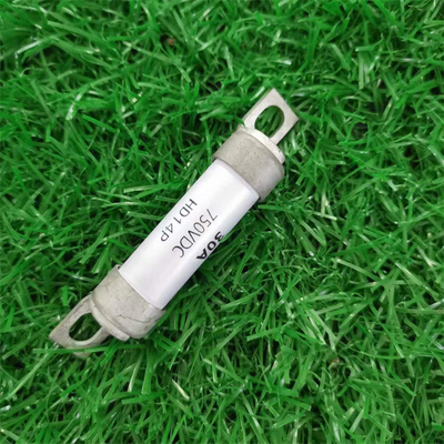 디스만 BS88 퓨즈 DC150V AC240V 6-900A 퓨즈 충분한 부스먼 퓨즈 시노퓨즈는 중국에서 했습니다