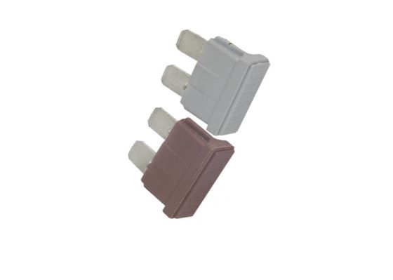 빨리 퓨즈 PBT 물질 편평 형상을  행하는 각광된 자동차 1 Amp