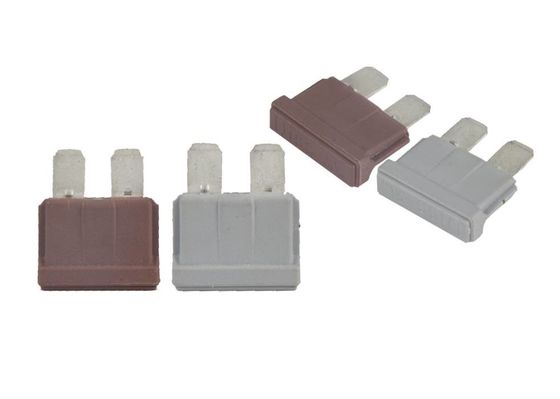 빨리 퓨즈 PBT 물질 편평 형상을  행하는 각광된 자동차 1 Amp