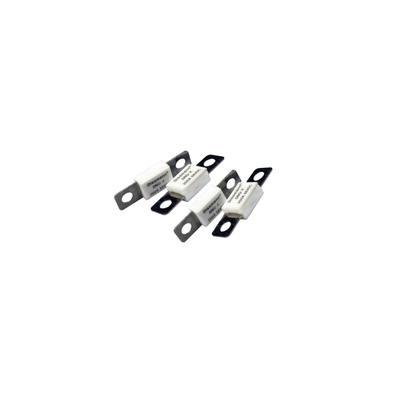 세라믹 100 Amp 자동차 퓨즈, 58VDC 낮은 차단 용량 퓨즈