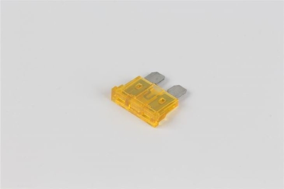 빨리 회로보호 퓨즈를 행한 자동차 작은 32v 40 Amp 퓨즈