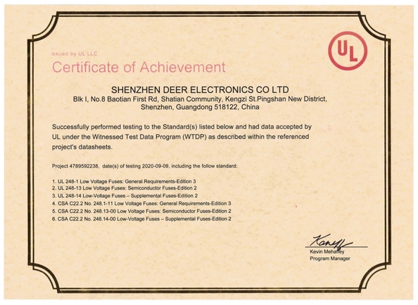 중국 Dissmann | Global Expert Fuse for EV | HEV | Photovoltaic | Battery | Energy Storage Solutions 인증